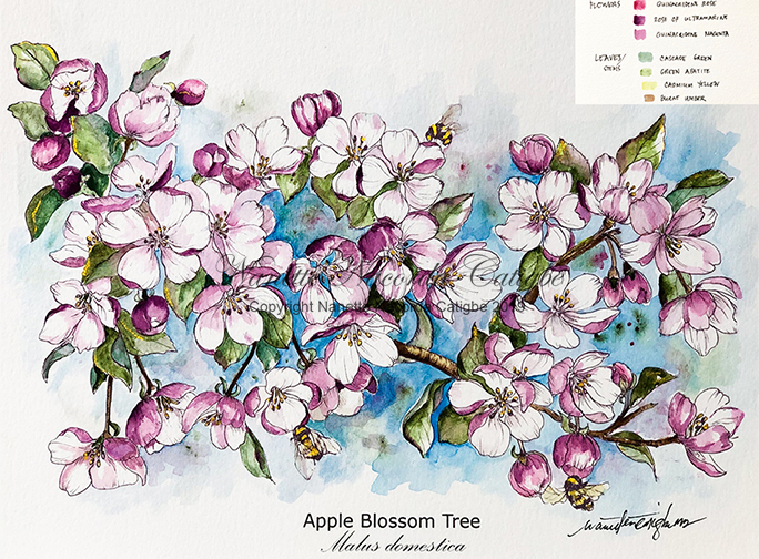 Download Floral Botanical Adult Coloring Pages First Set Nanette Nacorda Catigbe Md